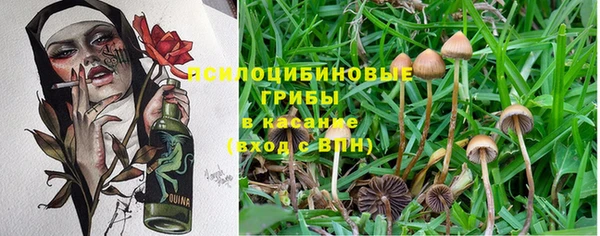 первитин Касимов