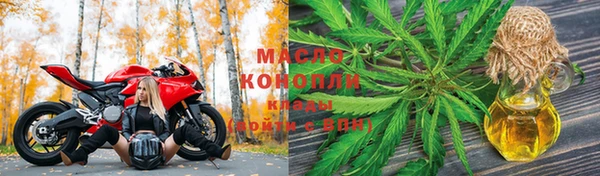 ГАЛЛЮЦИНОГЕННЫЕ ГРИБЫ Ельня