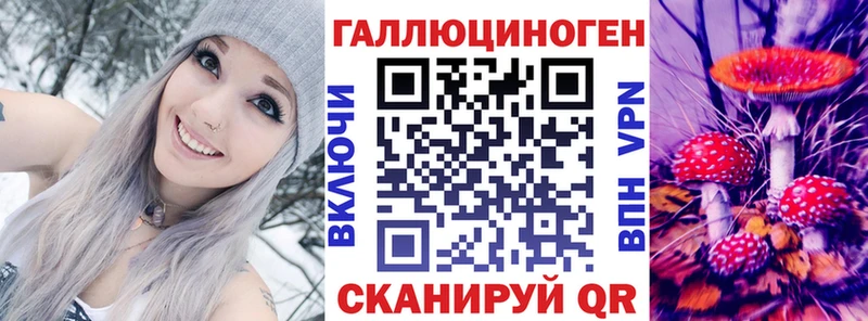 Псилоцибиновые грибы Cubensis  Каспийск 