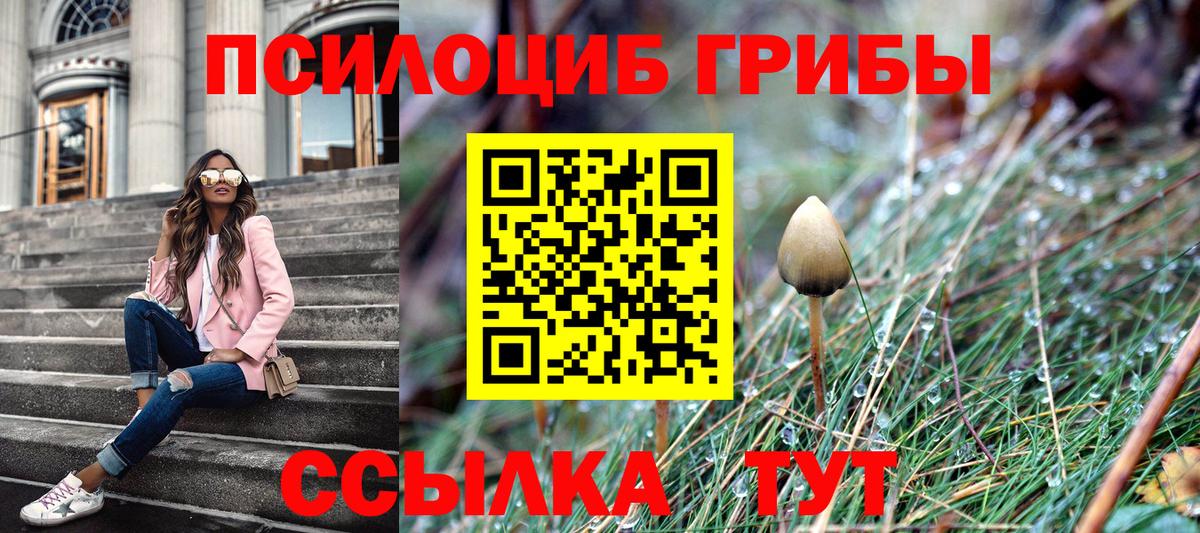 Псилоцибиновые грибы мицелий Каспийск