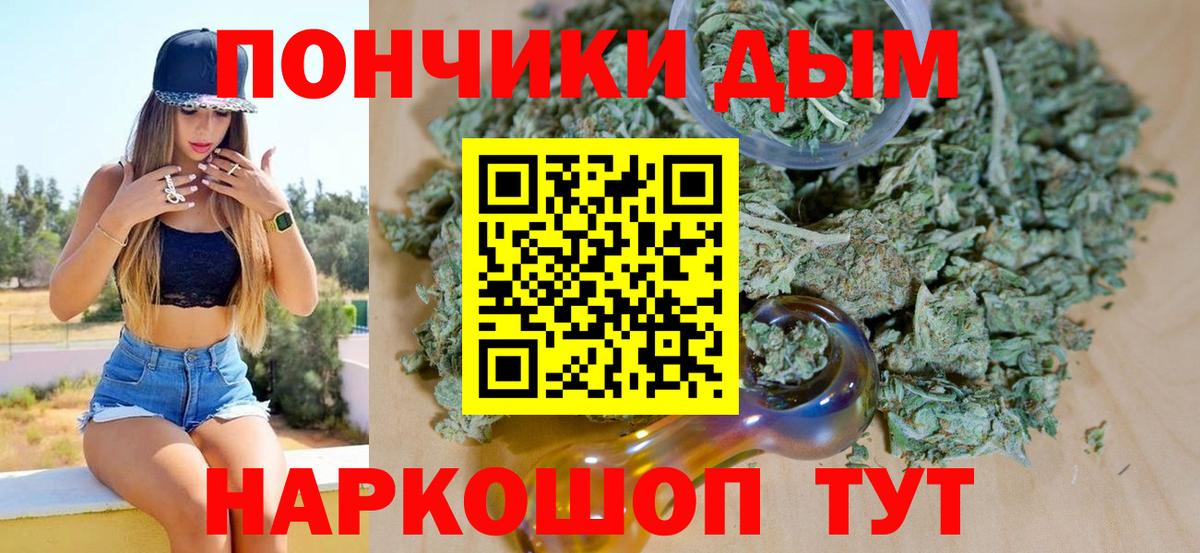 Конопля сатива Каспийск